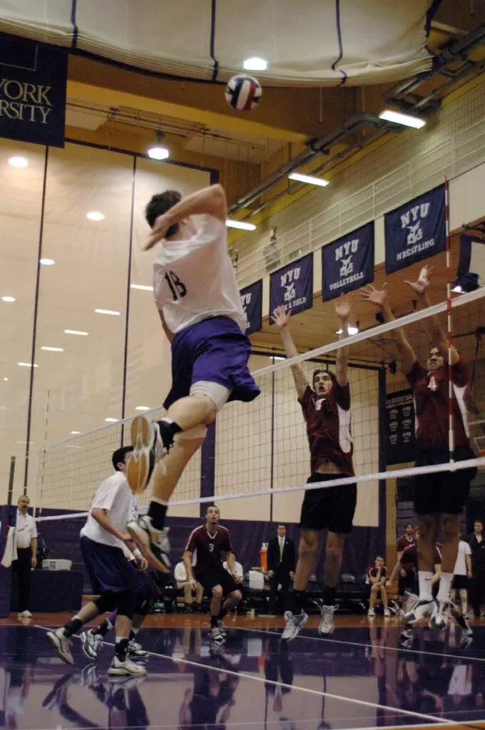 what division is nyu volleyball
